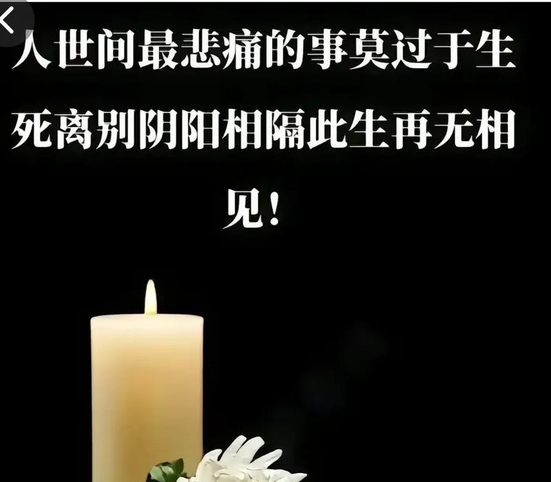 清明节怀想句子好句有哪些？（《清明时节雨纷纷：怀古之情与春意盎然》）