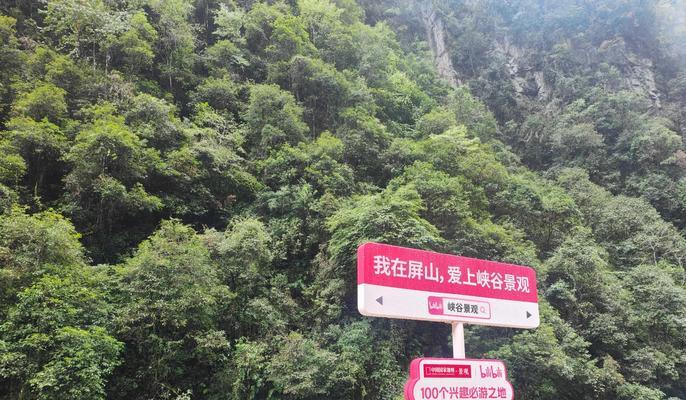 有关大峡谷雨天风景介绍句子的句子怎么写（《雨洗千山翠，雾锁大峡谷》）