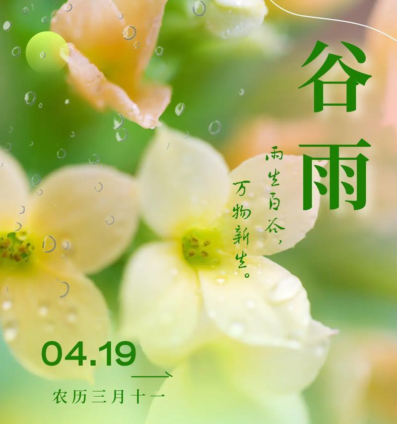 谷雨节气开头结尾金句好句有哪些？（《谷雨润心田：二十四节气之诗》）