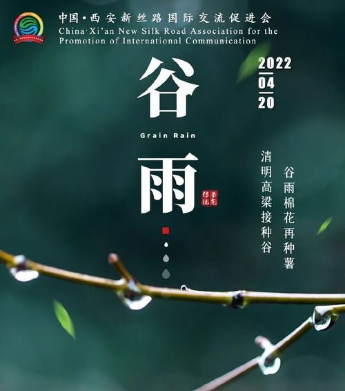 清明已过谷雨未至什么意思（《春日序曲：从清明到谷雨的诗情画意》）