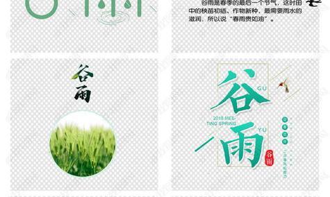 谷雨手工制案简短说说好句？（《谷雨手工制案：笔墨与时光的绘卷》）
