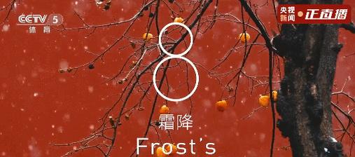 冬奥会从春分名言警句好句有哪些？（《春分冬奥：冰雪之韵，文脉之光》）
