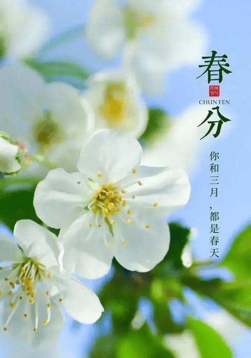 青海人是怎么过春节的（《春分时节青海人》）