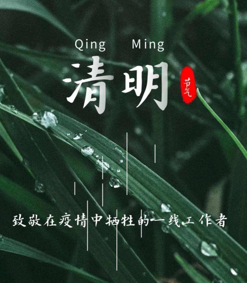 清明节期间遇到疫情怎么办？（《雨余春色满清明，疫情阻游人步》）