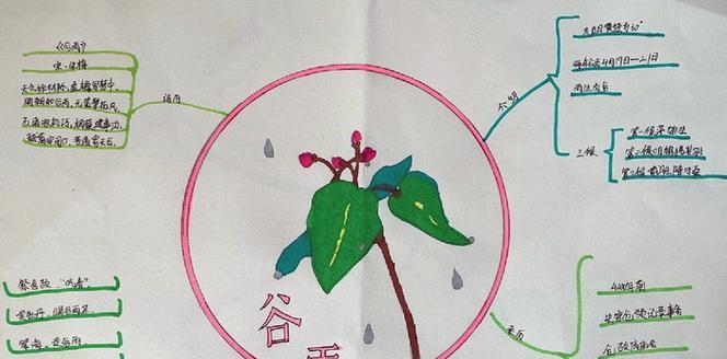 有关谷雨提纲怎么写摘抄的句子（《谷雨时节，书卷轻翻》）