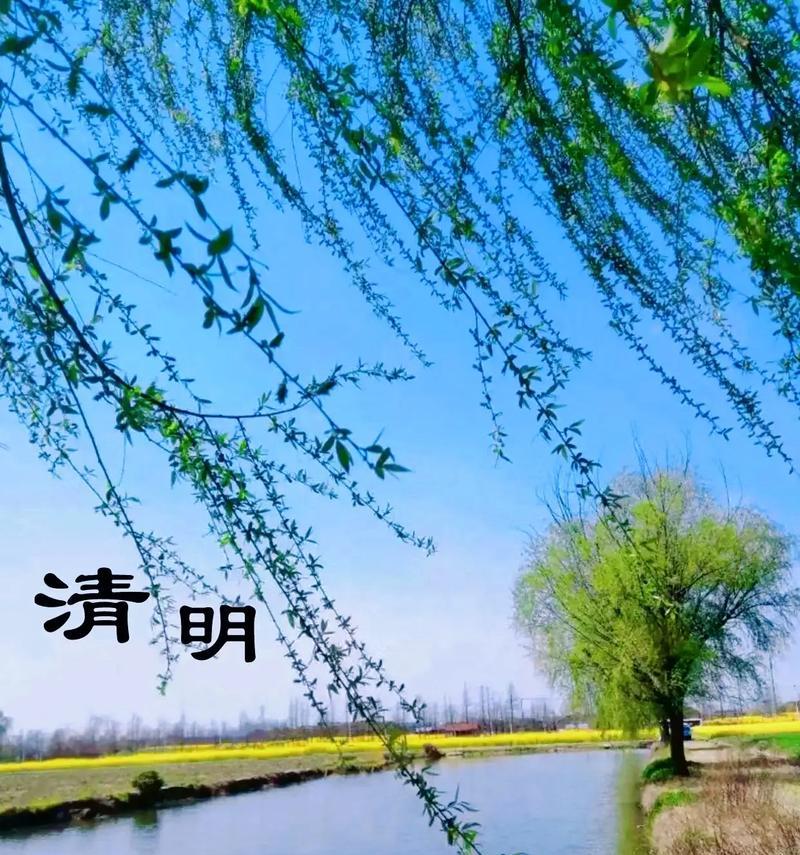 清明节的景物摘抄好句有哪些？（《烟雨轻笼，清明追思》）