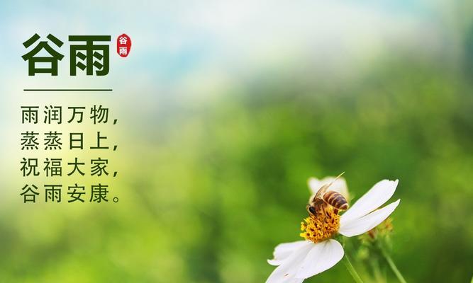 谷雨公司工案语录好句有哪些？（《谷雨公司工案语录：古风映今事》）