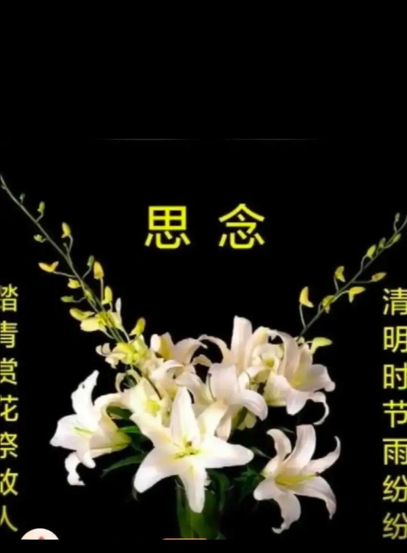 清明的心是什么意思（《心如明镜，清明映古风》）