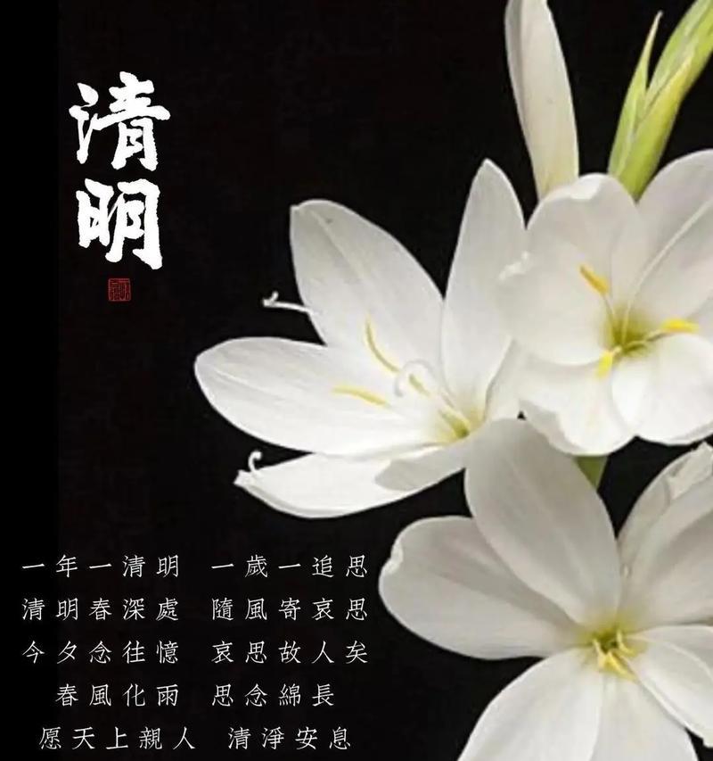 有关清明节的感恩追思短句的短句怎么写（《翠柳含烟，杏花风里忆先人》）