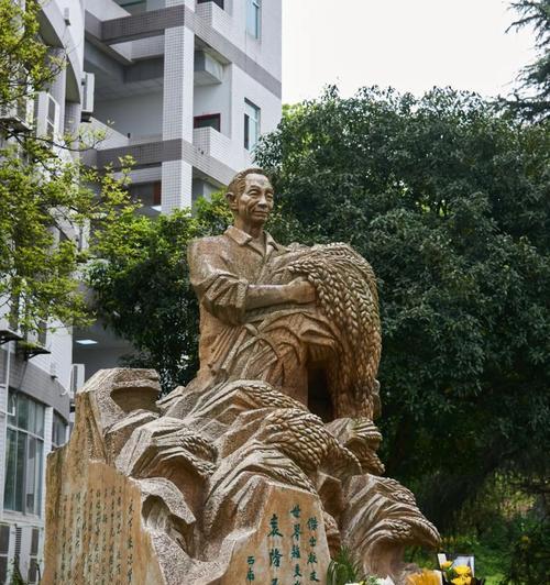 清明节袁隆平有哪些著名句子？（《祭田之思：袁隆平与清明节》）