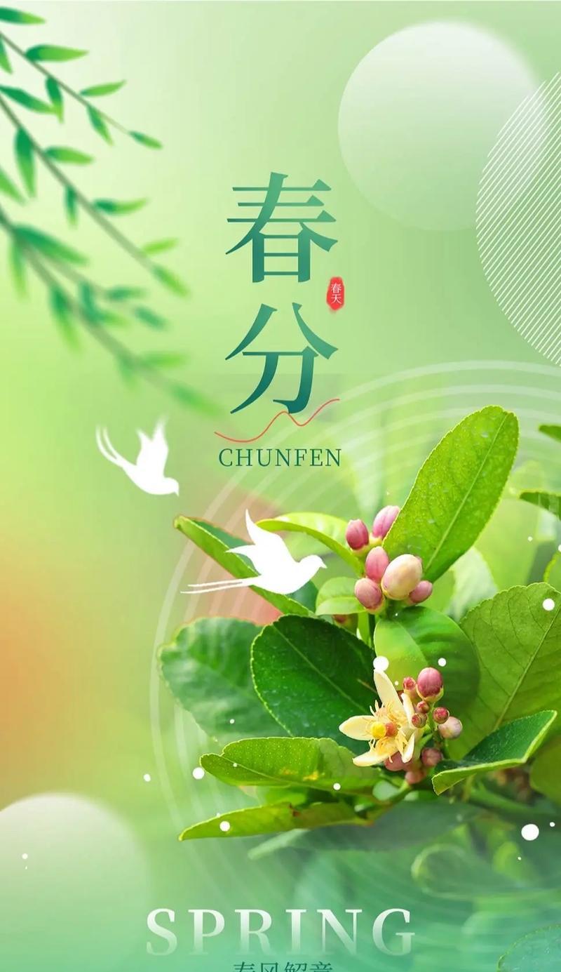 中考满分春分语录好句有哪些？（《春分雅韵：中考满分之语，绽放传统之花》）