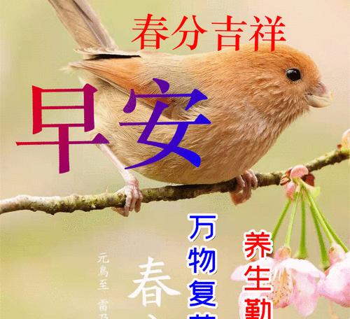 春分快乐金句有哪些？（春分之颂：桃花笑春风）