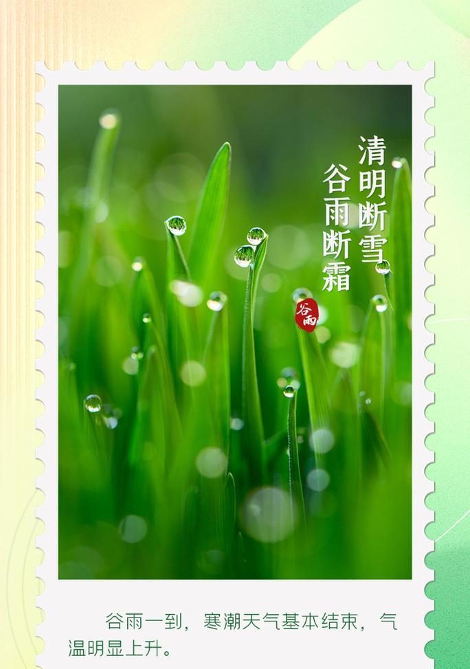 今日谷雨最新摘抄好句有哪些？（谷雨时分，落花流水的诗意轻吟）