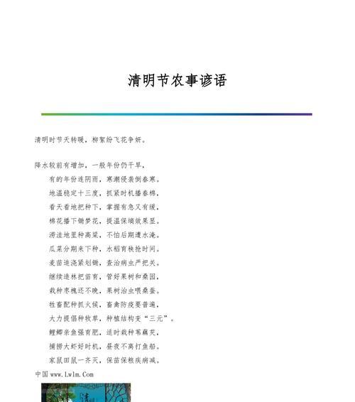 清明节期间常见问题有哪些？（《清明时节雨纷纷，路上行人欲断魂》）