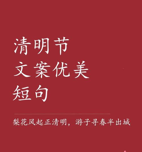 关于清明节的过程怎么写（《清明之思：春回大地，灵魂归去》）