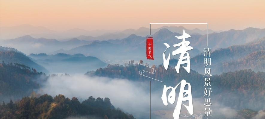 天津清明节美景摘抄好句有哪些？（《春归翠柳，烟锁津门》）