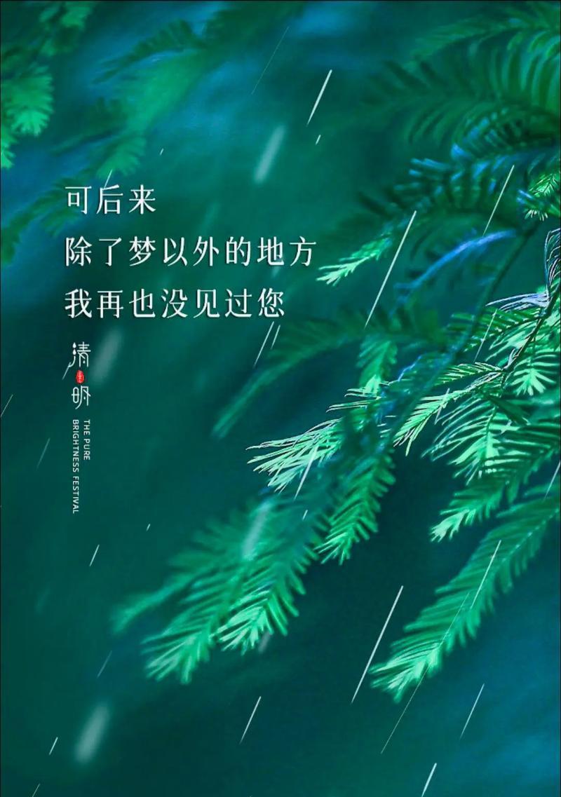 清明雨霏飞短句好句有哪些？（《雨霏霏，清明梦》）
