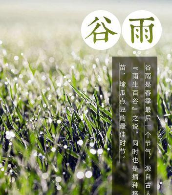 有关信阳谷雨季节介绍语录的句子怎么写（《谷雨时节，墨韵江南》）