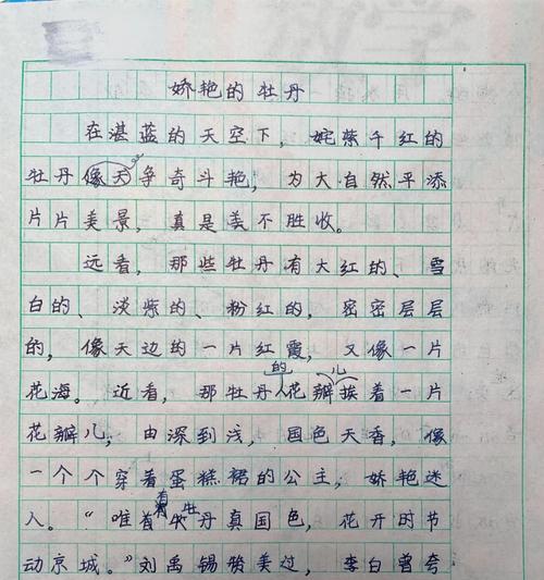 谷雨与牡丹仙子的传说（《春意盎然，牡丹花开》）