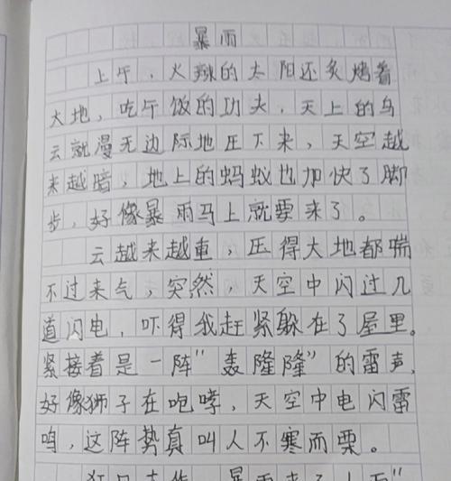 有关谷雨作文以担当为主题的作文怎么写（《雨中承诺》）