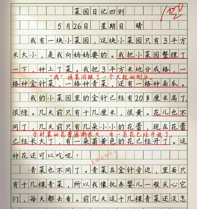 以谷雨时节的小菜园作文为话题的作文怎么写（《谷雨时节的小菜园作文》）