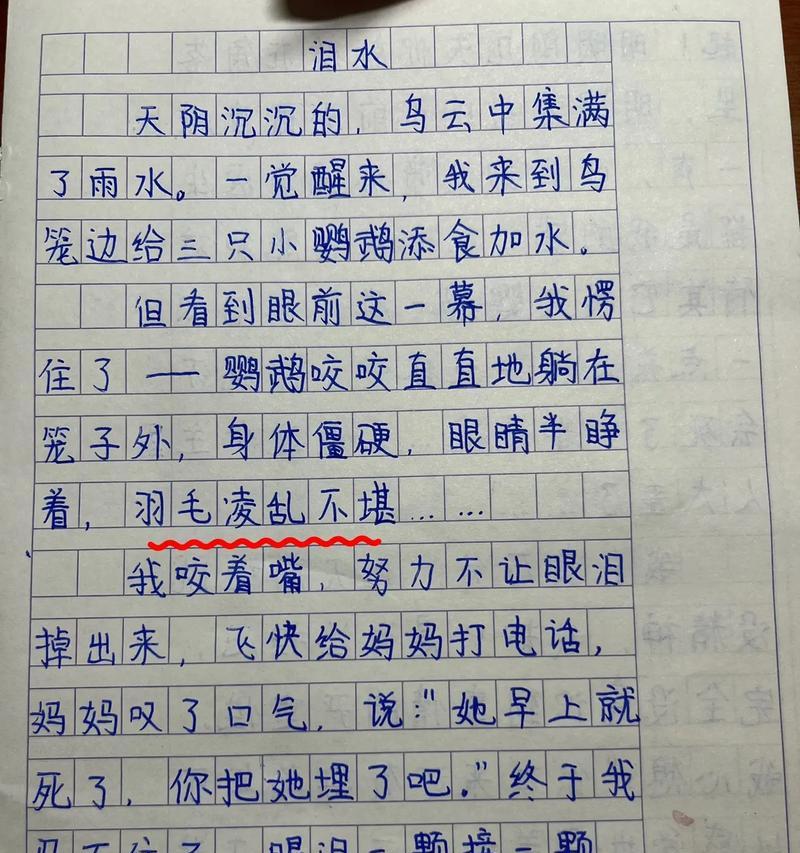 有关写作文清明泪的作文怎么写（《写作文清明泪》）