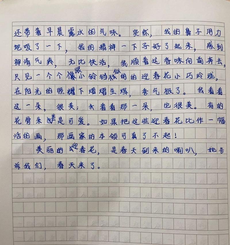 有关谷雨时的迎春花作文的作文怎么写（《谷雨时的迎春花作文》）