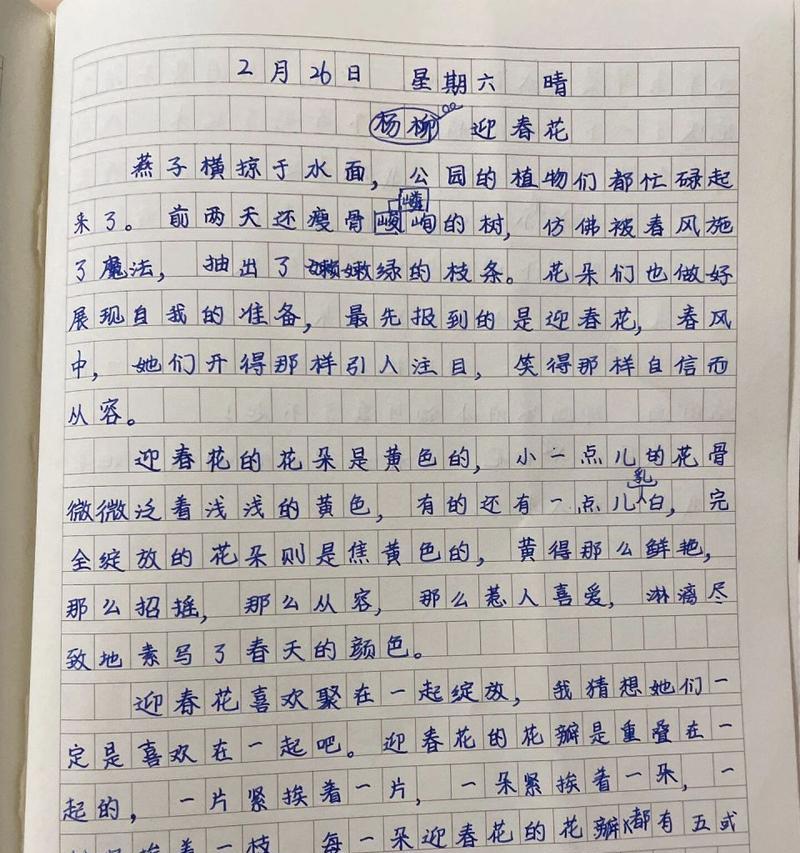 有关谷雨时的迎春花作文的作文怎么写（《谷雨时的迎春花作文》）