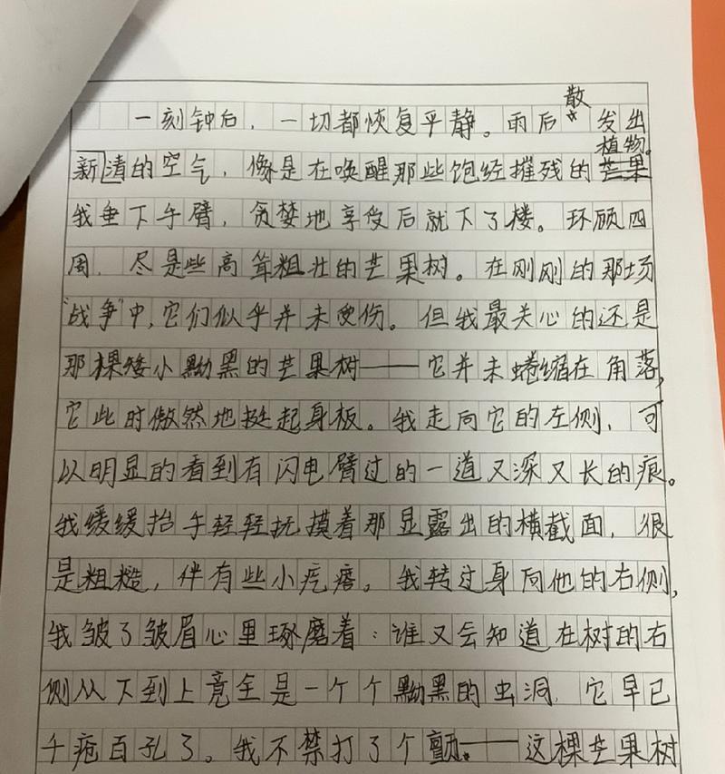 关于芒种的作文800字议论文（《田间的小种子：我的芒种趣事》）