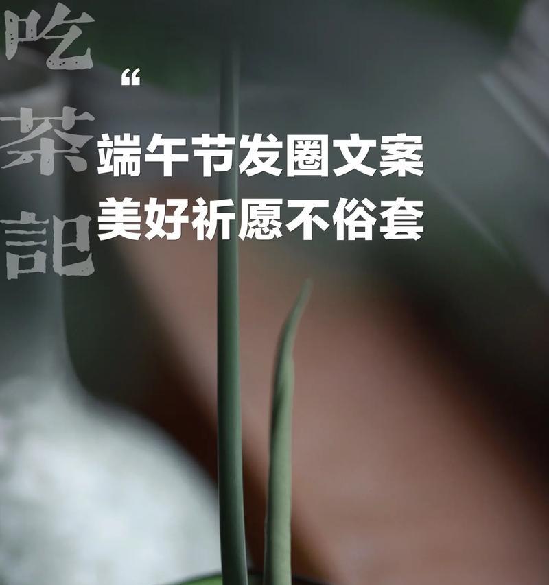 端午节温暖的句子文案好句有哪些？（《端午温情：碧波粽香里古韵流转》）