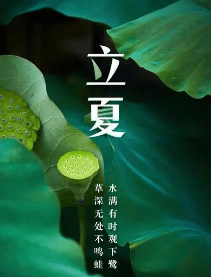 立夏文案短句沙雕好句有哪些？（《立夏：逐梦之始，细品时光》）
