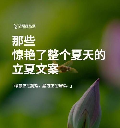 立夏文案短句沙雕好句有哪些？（《立夏：逐梦之始，细品时光》）