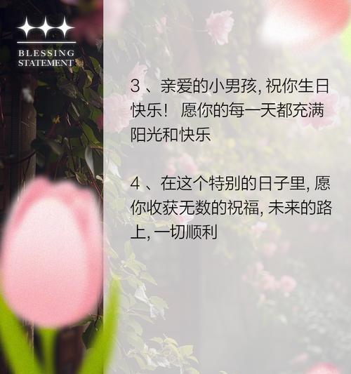 男童生日祝福语,怎么说（《童心童趣，生辰喜乐》）