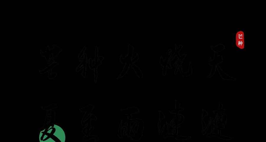 芒种和夏至的手抄报（《芒种夏至的青涩记忆》）