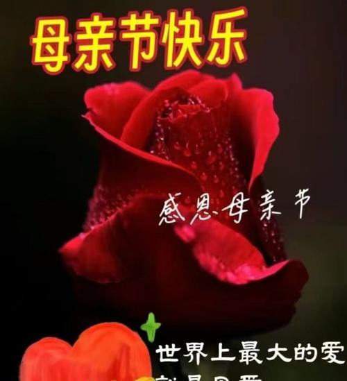 母亲节快乐语录图文好句有哪些？（《母恩如海，情深似锦——致母亲节》）