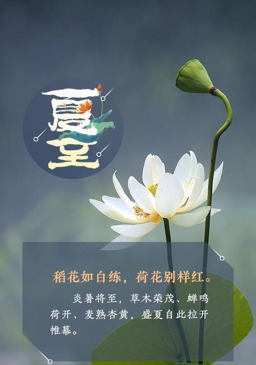 夏至生日怎么发朋友圈（《夏至·繁华盛世》）