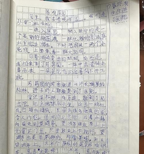 有关小满的回忆作文的作文怎么写（《小满之约：青春的回响》）