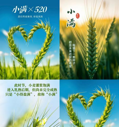 小满生活态度文案短句子好句有哪些？（满载芳华：小满时节的生活哲思）