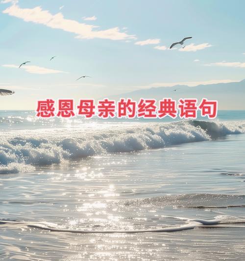 母亲节感恩婆婆的优美语录有哪些？（《慈母手中线）