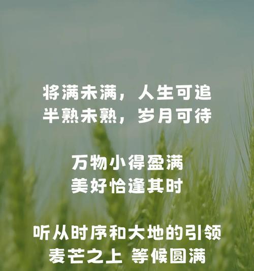 关心小满的男人的句子说说好句有哪些？（《心念小满，情绘流年》）