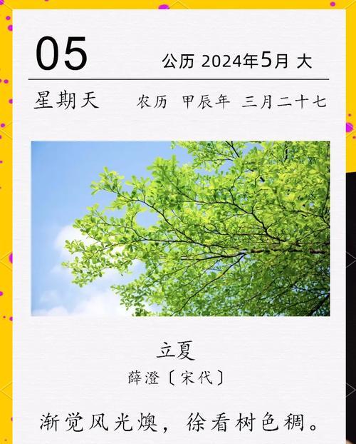 夏天赏花的句子（《立夏花开，诗意盎然》）