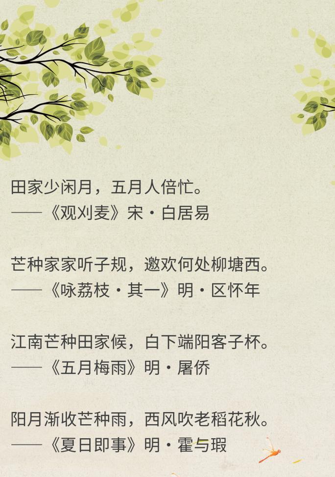 芒种的情话（《芒种时节，情愫细语》）