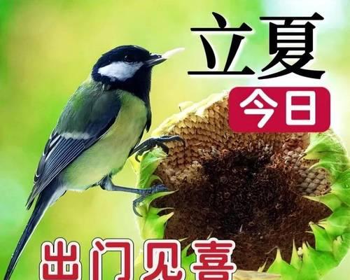 立夏祝福语怎么写？（《立夏雅韵：绿意盎然时节的诗意祝福》）