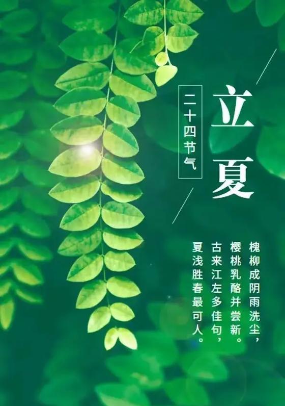 立夏晚上好短句好句有哪些？（《立夏夜语·古韵风华》）