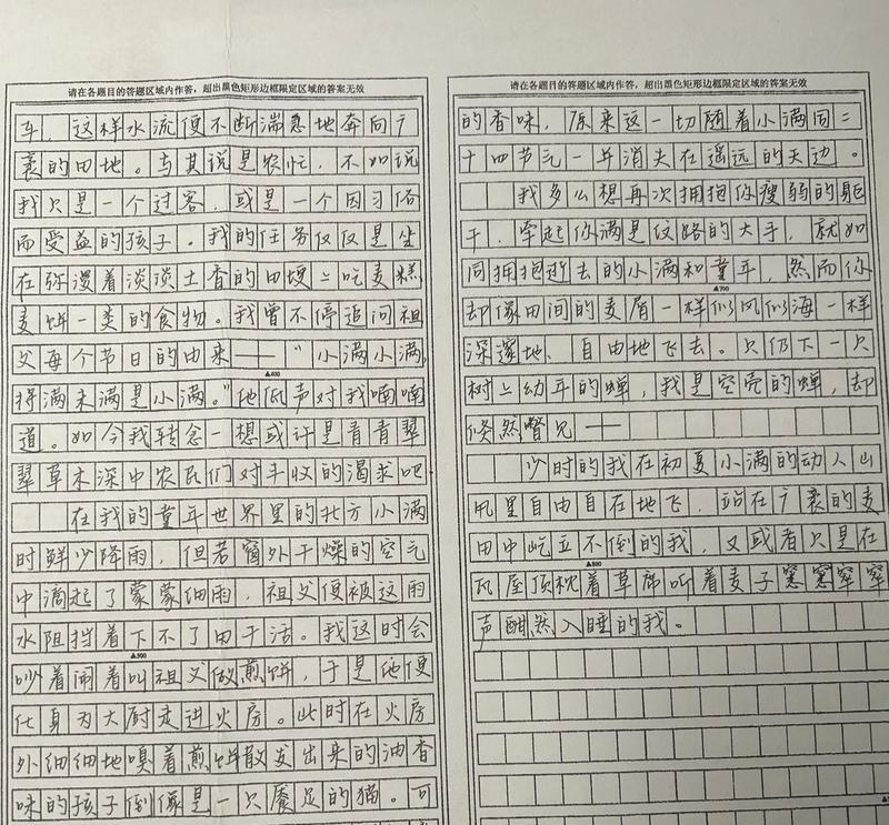 小满含义是什么意思?小满的到来预示着什么?（《春意盈盈，终成夏满》）