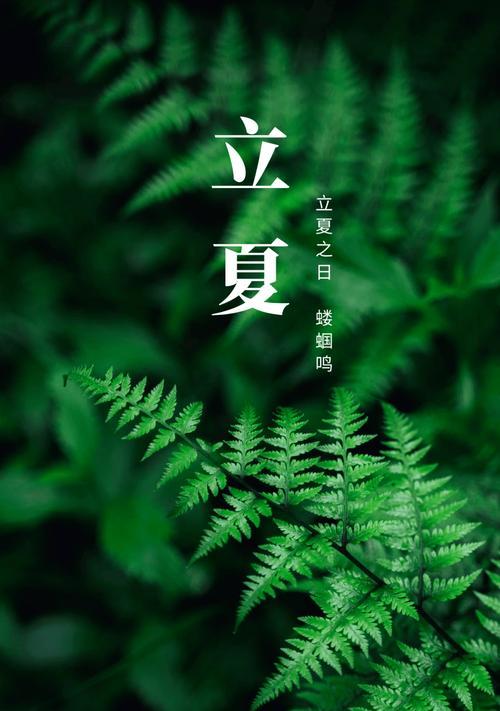 2024立夏励志句子好句有哪些？（心如夏花之绚烂）