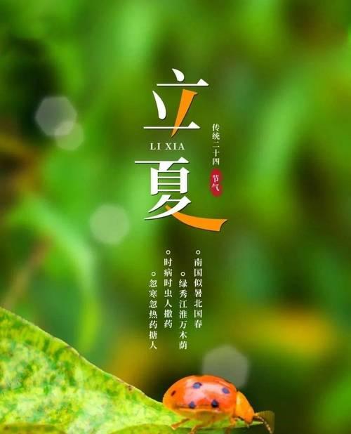 2024立夏励志句子好句有哪些？（心如夏花之绚烂）