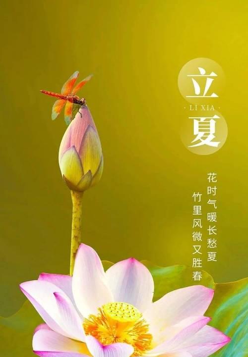 立夏祝福语怎么写？（《立夏日，诗意浓，祝福绵长》）