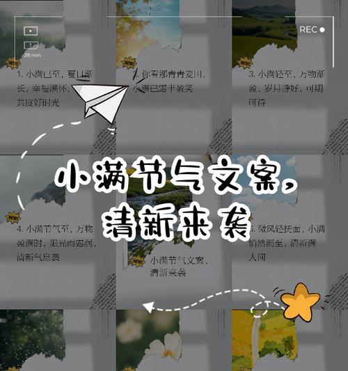 有关小满节气的文案短小句子的短句怎么写（《小满之际：细雨润物，岁月静好》）