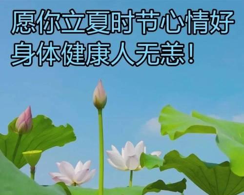 立夏祝福语怎么写？（《夏至之约：立夏的深情寄语》）